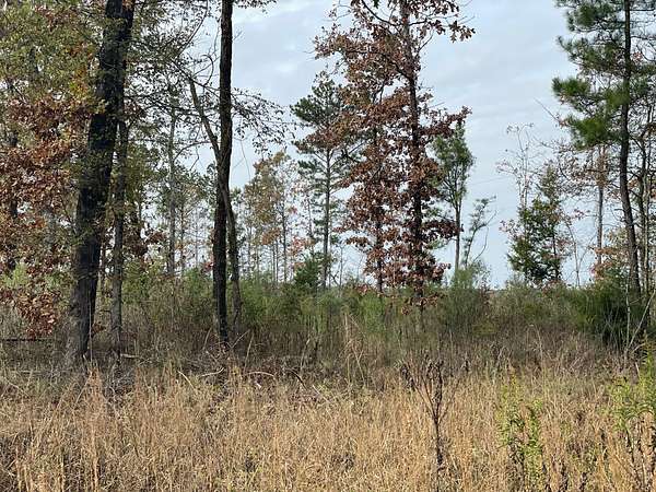 69 Acres of Recreational Land for Sale in Bagwell, Texas