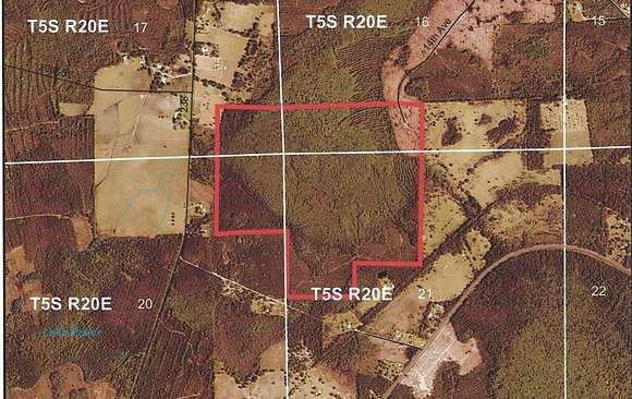 251 Acres of Recreational Land for Sale in Lake Butler, Florida