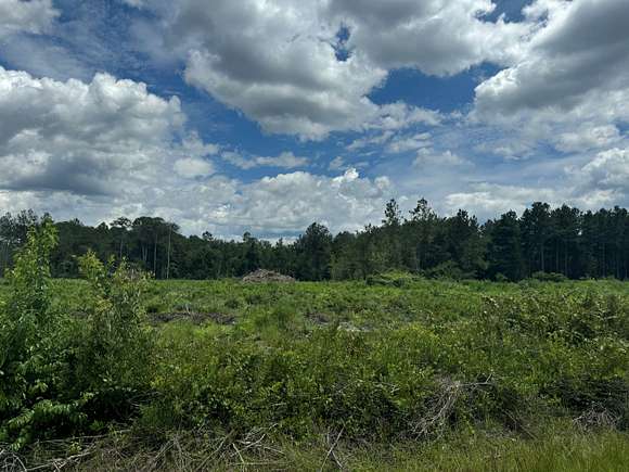 640 Acres of Recreational Land for Sale in Lake Butler, Florida