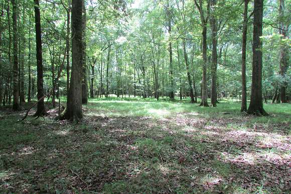 1,005.06 Acres of Recreational Land for Sale in Bishopville, South Carolina