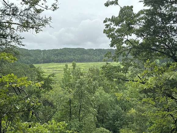 40 Acres of Recreational Land for Sale in Oak Grove, Alabama