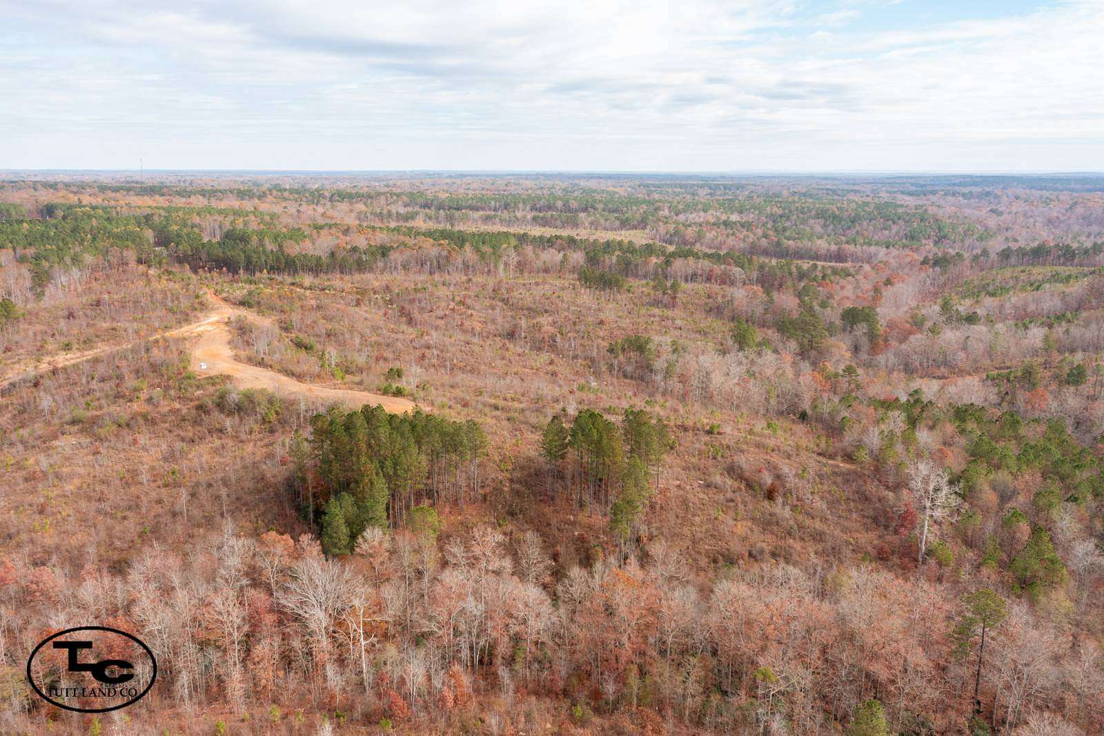 610 Acres of Recreational Land for Sale in Curry, Alabama