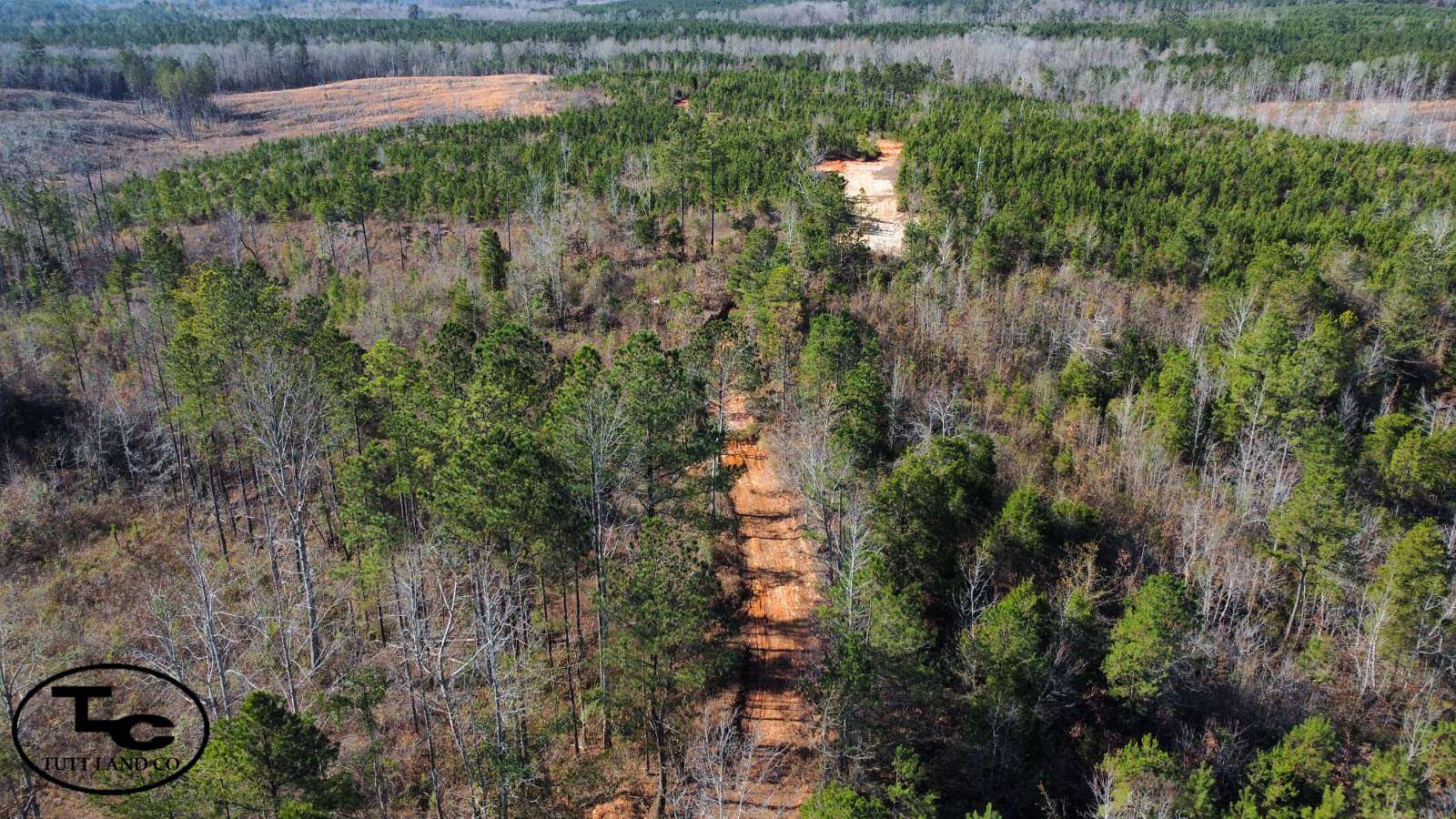 80 Acres of Recreational Land for Sale in Cuba, Alabama