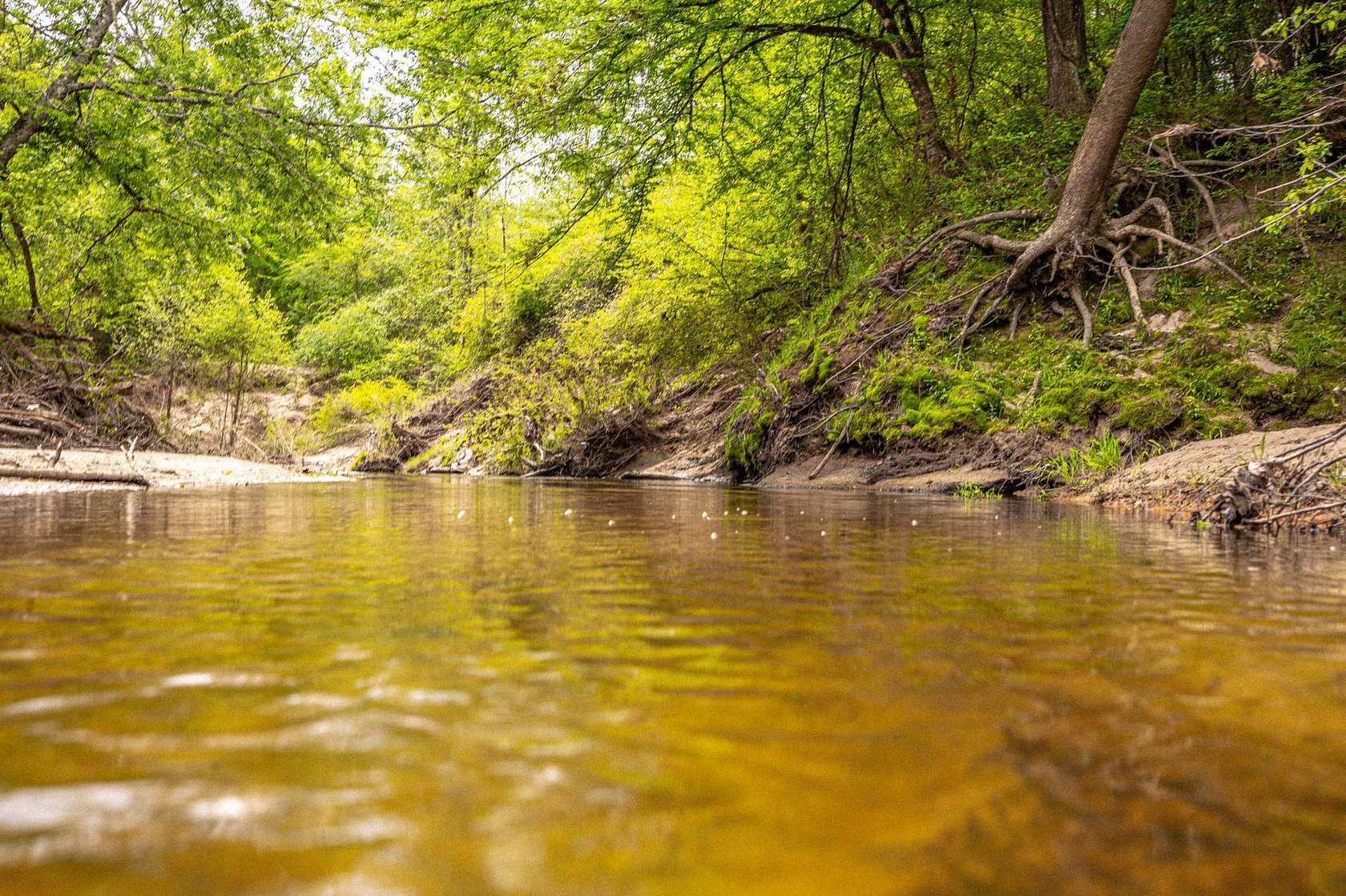 15 Acres of Recreational Land for Sale in Byram, Mississippi