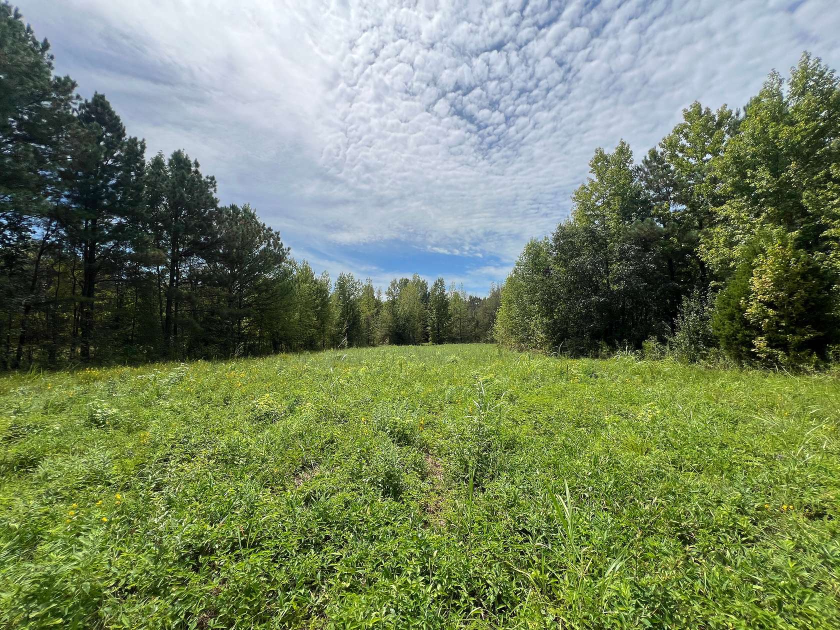 15.39 Acres of Land for Sale in Florence, Alabama