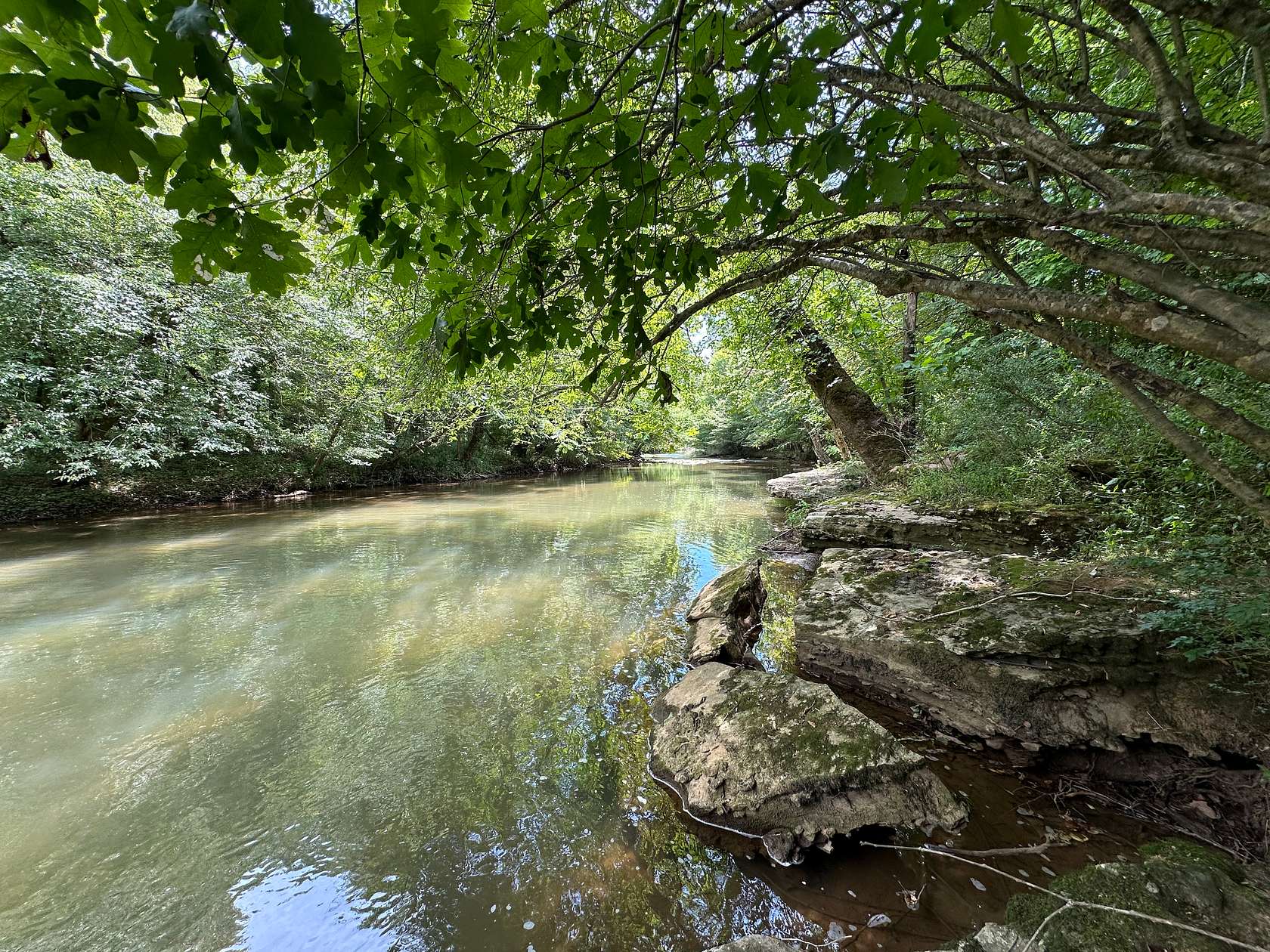 64 Acres of Agricultural Land for Sale in New Market, Alabama