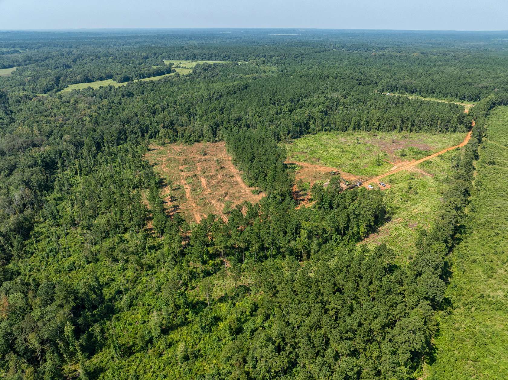 88.53 Acres of Recreational Land for Sale in San Augustine, Texas