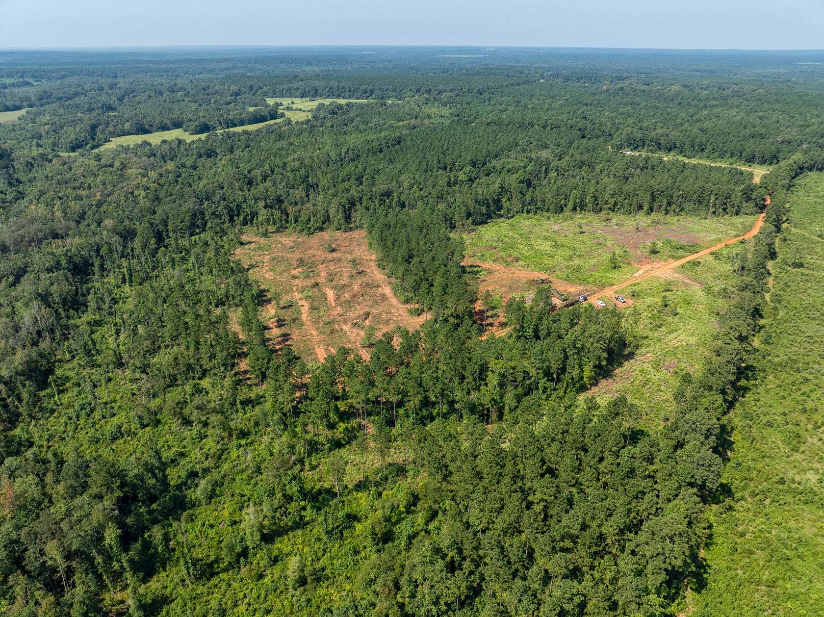 88.5 Acres of Recreational Land for Sale in San Augustine, Texas