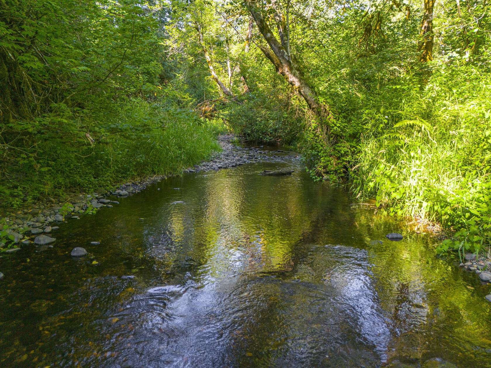 42.7 Acres of Recreational Land for Sale in Boring, Oregon