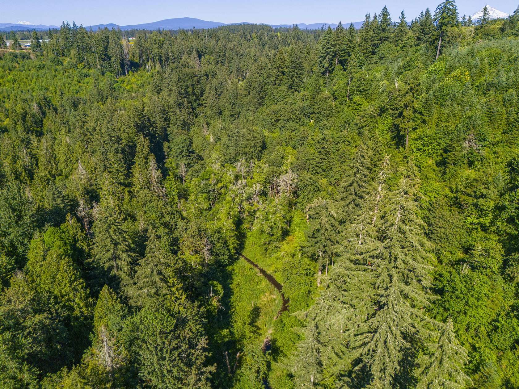 42.7 Acres of Recreational Land for Sale in Boring, Oregon