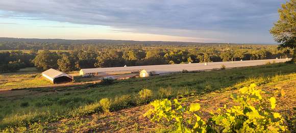 36 Acres of Agricultural Land for Sale in Booneville, Arkansas