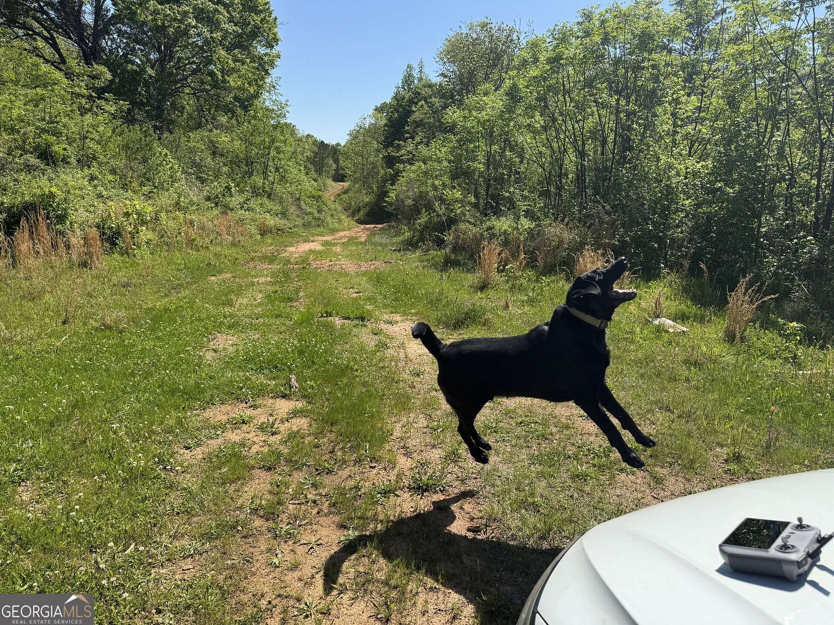 171 Acres of Land for Sale in Bogart, Georgia