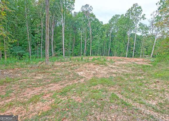 0.54 Acres of Residential Land for Sale in Lavonia, Georgia