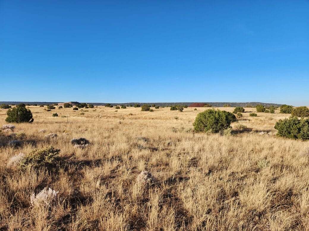 3.23 Acres of Residential Land for Sale in Snowflake, Arizona