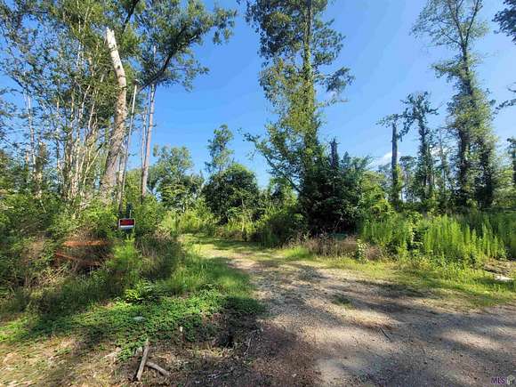 6 Acres of Residential Land with Home for Sale in Independence, Louisiana