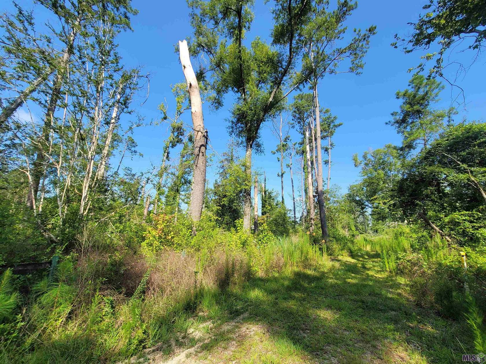 6 Acres of Residential Land for Sale in Independence, Louisiana