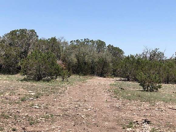 82 Acres of Recreational Land for Sale in Junction, Texas