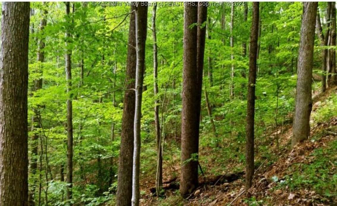 150 Acres of Recreational Land for Sale in Dingess, West Virginia