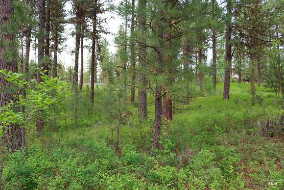 0.68 Acres of Land for Sale in New Meadows, Idaho