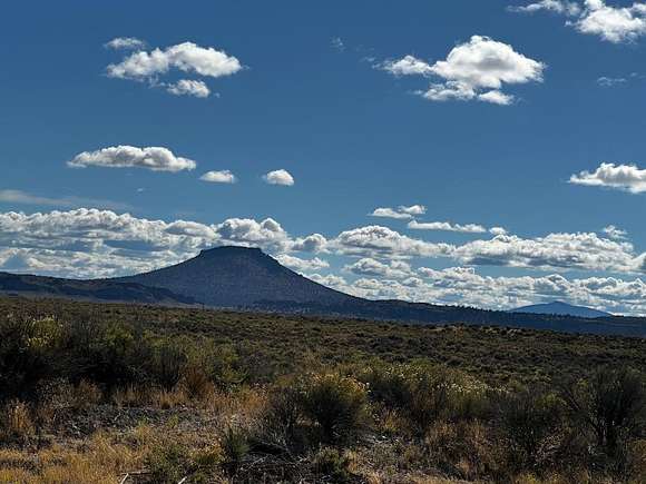 318.18 Acres of Recreational Land & Farm for Sale in Christmas Valley, Oregon