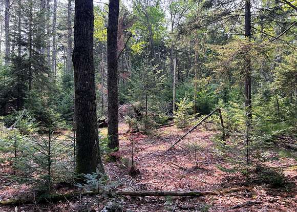 9 Acres of Land for Sale in Penobscot, Maine