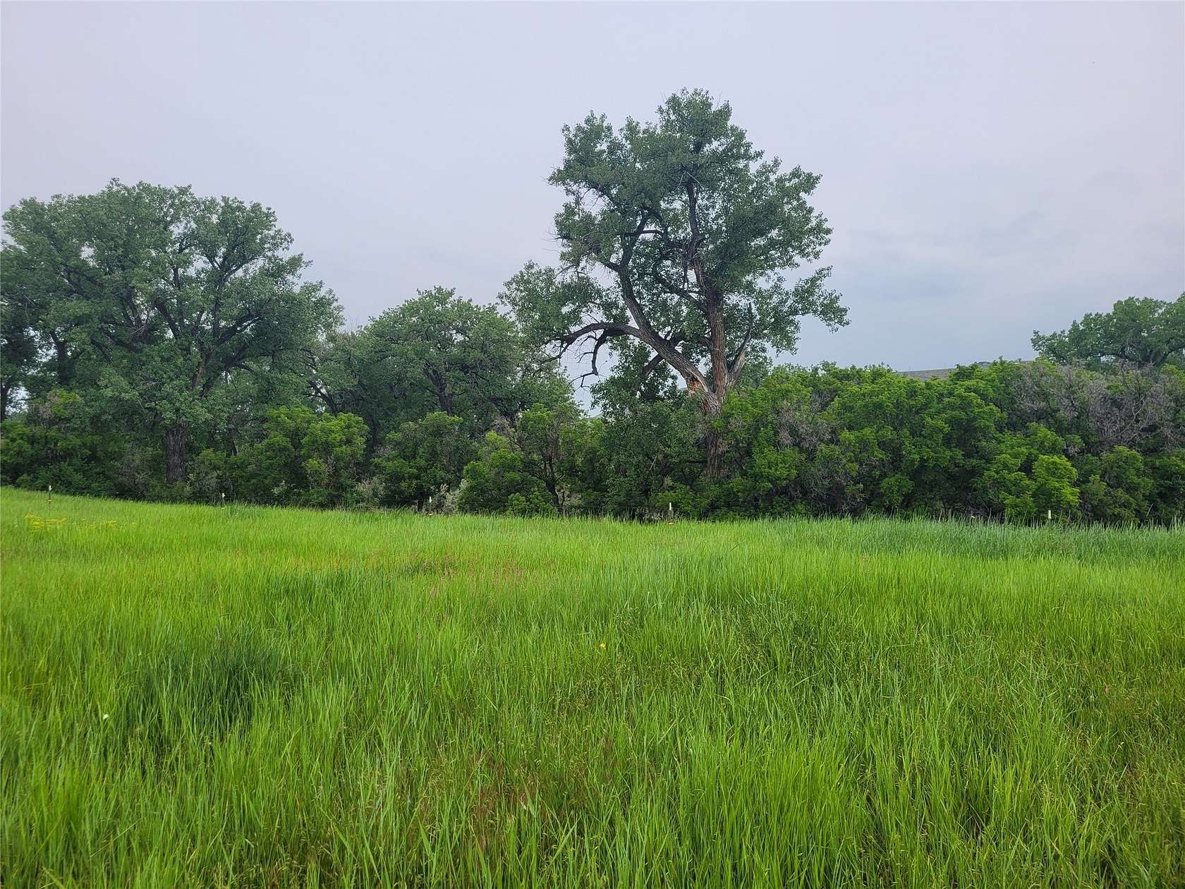 20 Acres of Agricultural Land for Sale in Great Falls, Montana