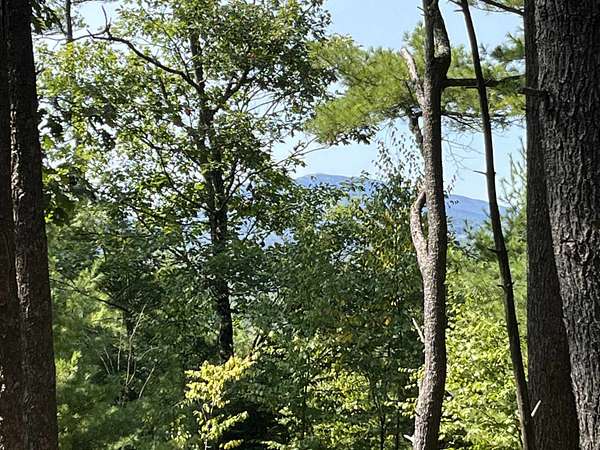 57.1 Acres of Recreational & Residential Land for Sale in Hancock, New Hampshire