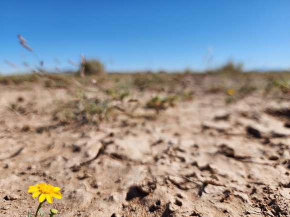 4 Acres of Residential Land for Sale in Deming, New Mexico