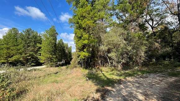 0.179 Acres of Residential Land for Sale in Trinity, Texas