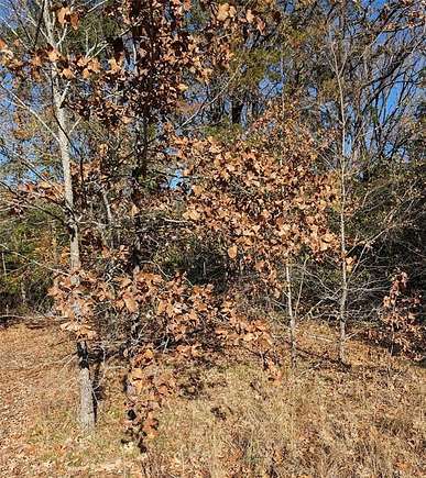 0.14 Acres of Land for Sale in Mabank, Texas