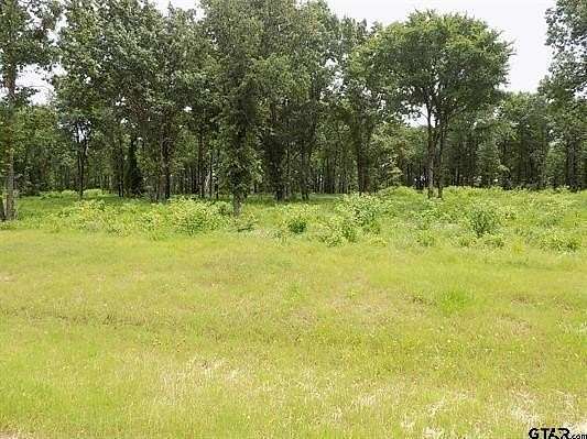 1.01 Acres of Land for Sale in Yantis, Texas