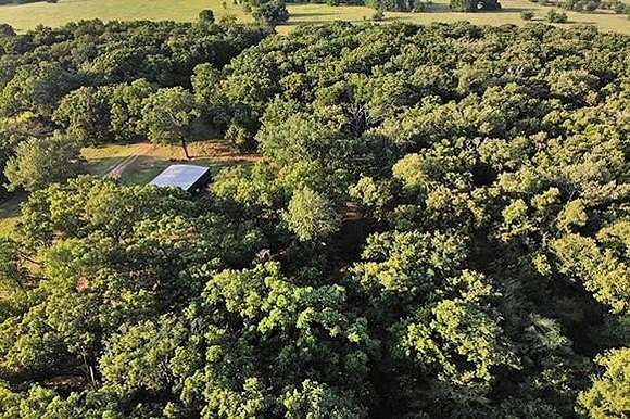 80.11 Acres of Recreational Land & Farm for Sale in Sulphur Bluff, Texas