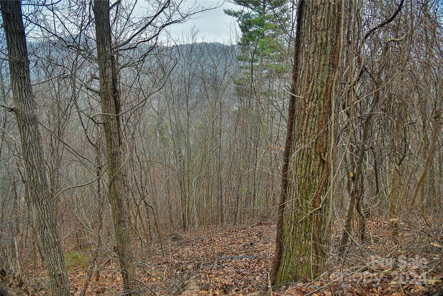 1.17 Acres of Residential Land for Sale in Asheville, North Carolina