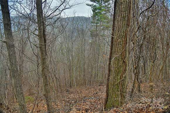 1.17 Acres of Residential Land for Sale in Asheville, North Carolina