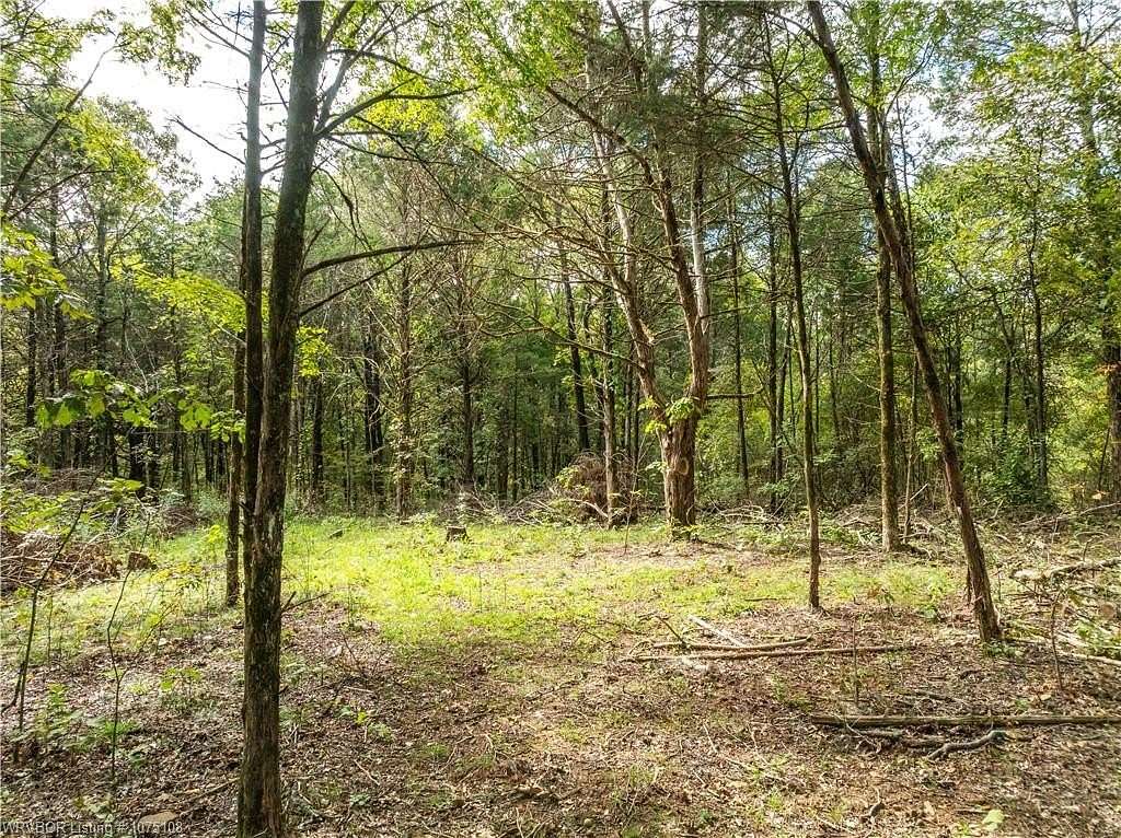 10 Acres of Recreational Land for Sale in Chester, Arkansas