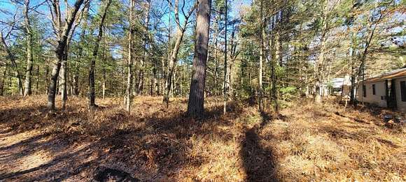 0.22 Acres of Land for Sale in Pentwater, Michigan