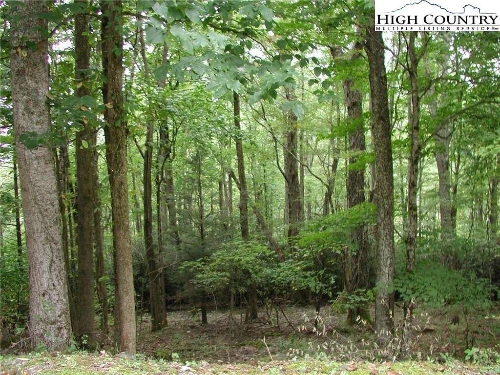 0.93 Acres of Residential Land for Sale in Vilas, North Carolina