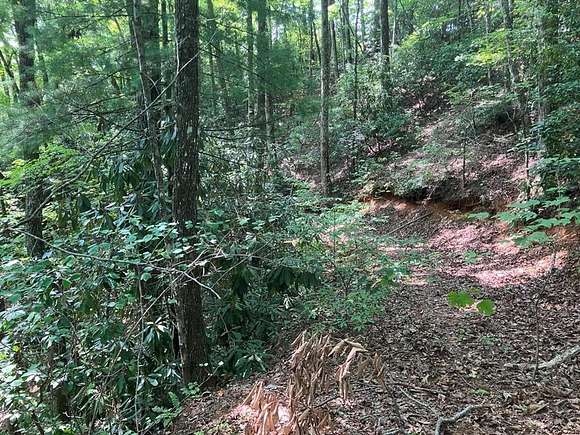 Land for Sale in Murphy, North Carolina