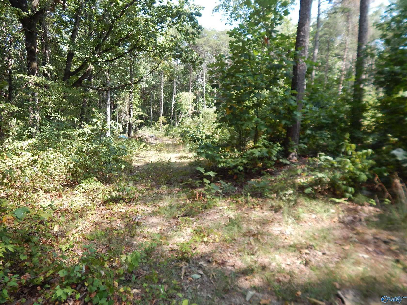 1 Acre of Land for Sale in Fort Payne, Alabama