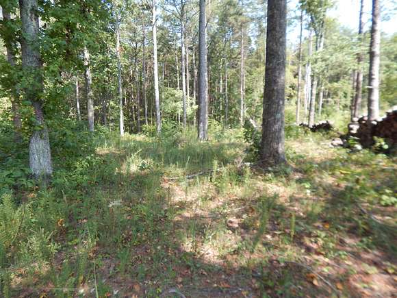 1 Acre of Residential Land for Sale in Fort Payne, Alabama