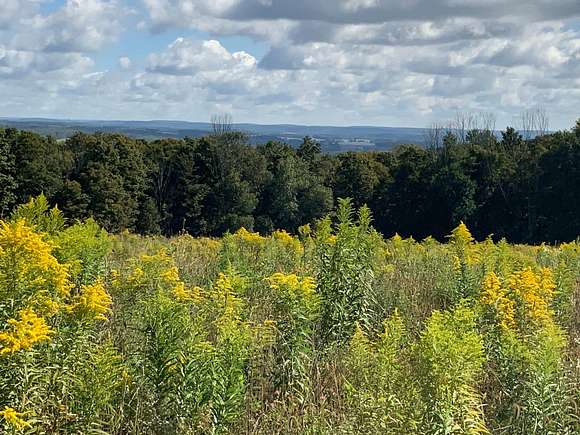 11.01 Acres of Land for Sale in Berkshire, New York