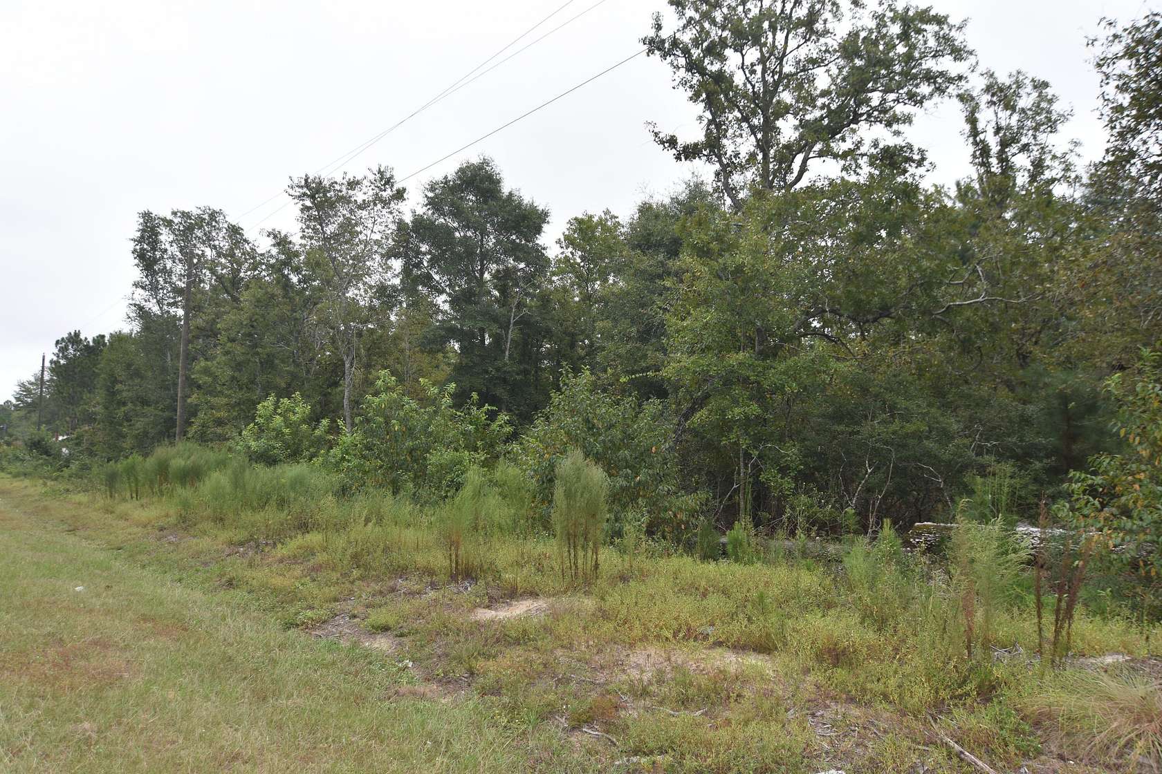 7.17 Acres of Residential Land for Sale in Salley, South Carolina