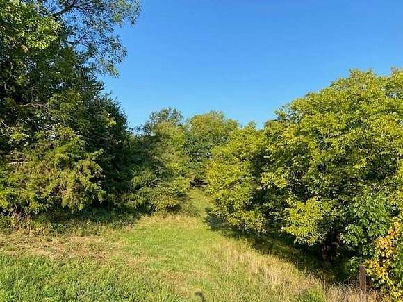 46 Acres of Recreational Land for Sale in Mount Olivet, Kentucky