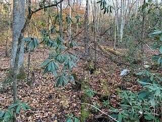 10.01 Acres of Land for Sale in Hendersonville, North Carolina