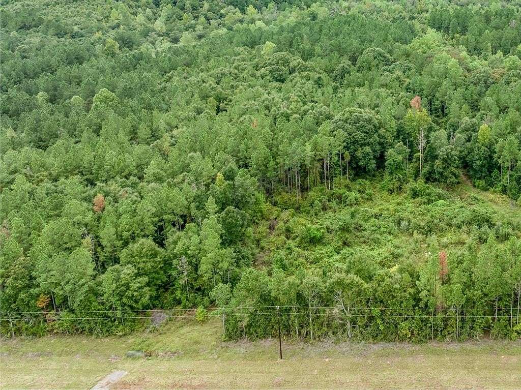 112 Acres of Land for Sale in Elba, Alabama