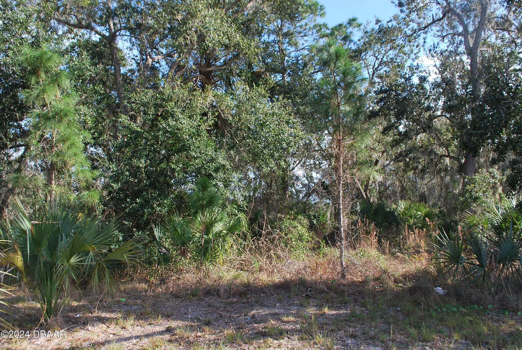 1.17 Acres of Residential Land for Sale in Edgewater, Florida