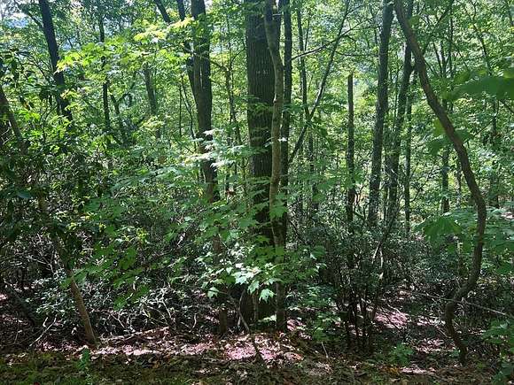 0.87 Acres of Land for Sale in Millshoal Township, North Carolina