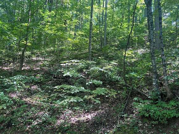 1.3 Acres of Residential Land for Sale in Franklin, North Carolina