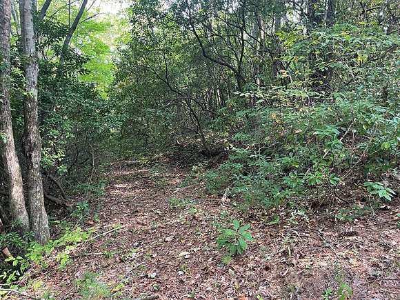 1.24 Acres of Land for Sale in Sylva, North Carolina