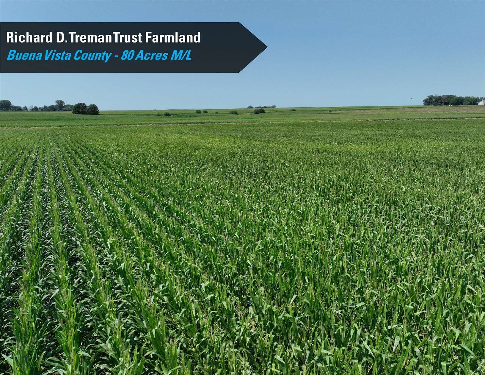 80 Acres of Agricultural Land for Sale in Poland Township, Iowa